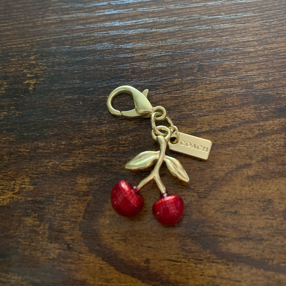 Coach purse charm, keychain or zipper pull, comes with Authentic Coach Dust Bag - Picture 2 of 8